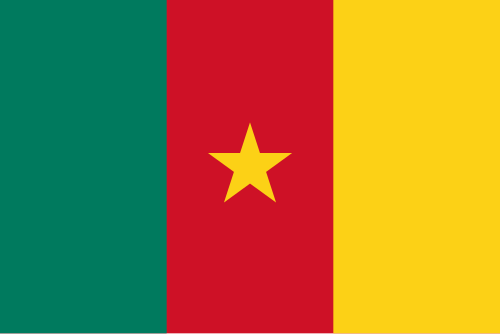 Flag of Cameroon
