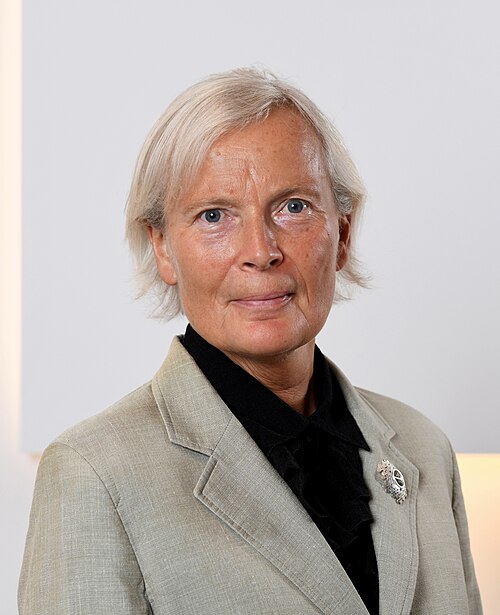 Merle Pajula